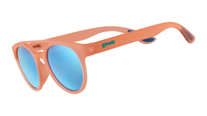 Stay Fly. Ornithologists